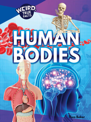 cover image of Human Bodies